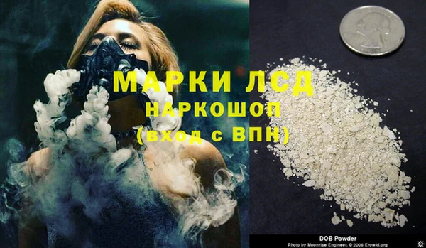 spice Каменка